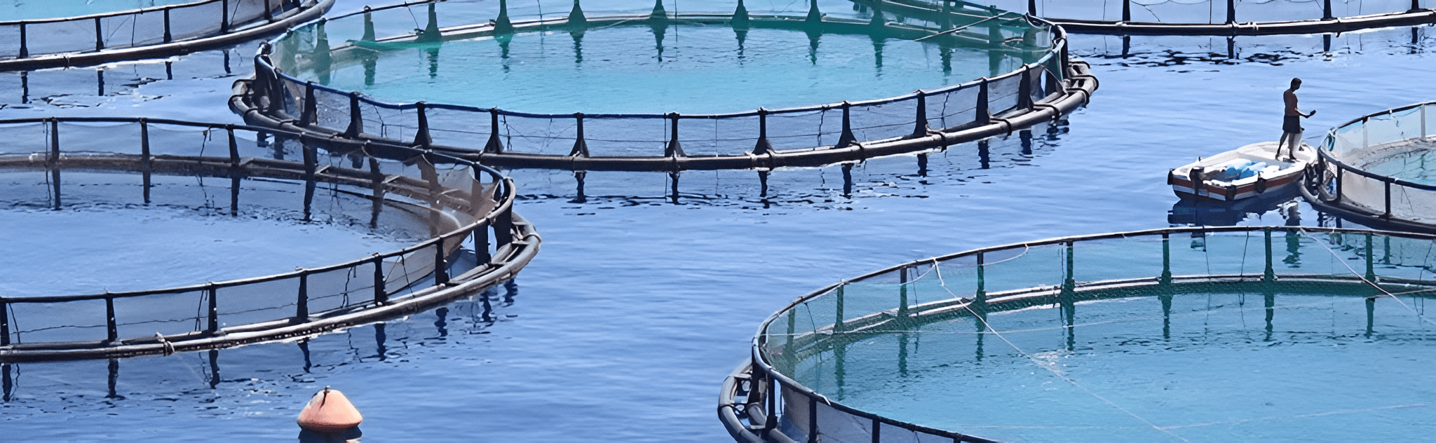 Trang trại nuôi trồng thủy sản